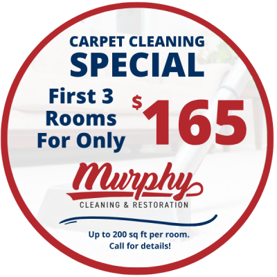 carpet-cleaning-special