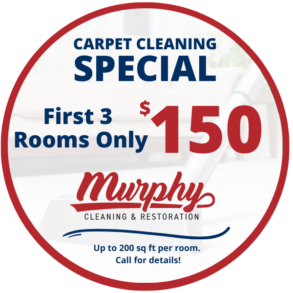 Carpet Cleaning Special