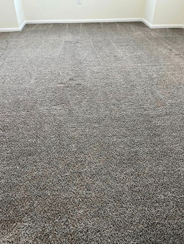 Commercial Carpet Cleaning in Timnath